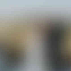 Groom placing ring on bride's finger at an intimate farm wedding.