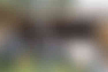 Guests mingle casually outdoors on a green patio beneath a wooden structure.