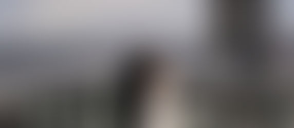 Your Ultimate Guide to Courthouse Weddings and Elopements in Seattle