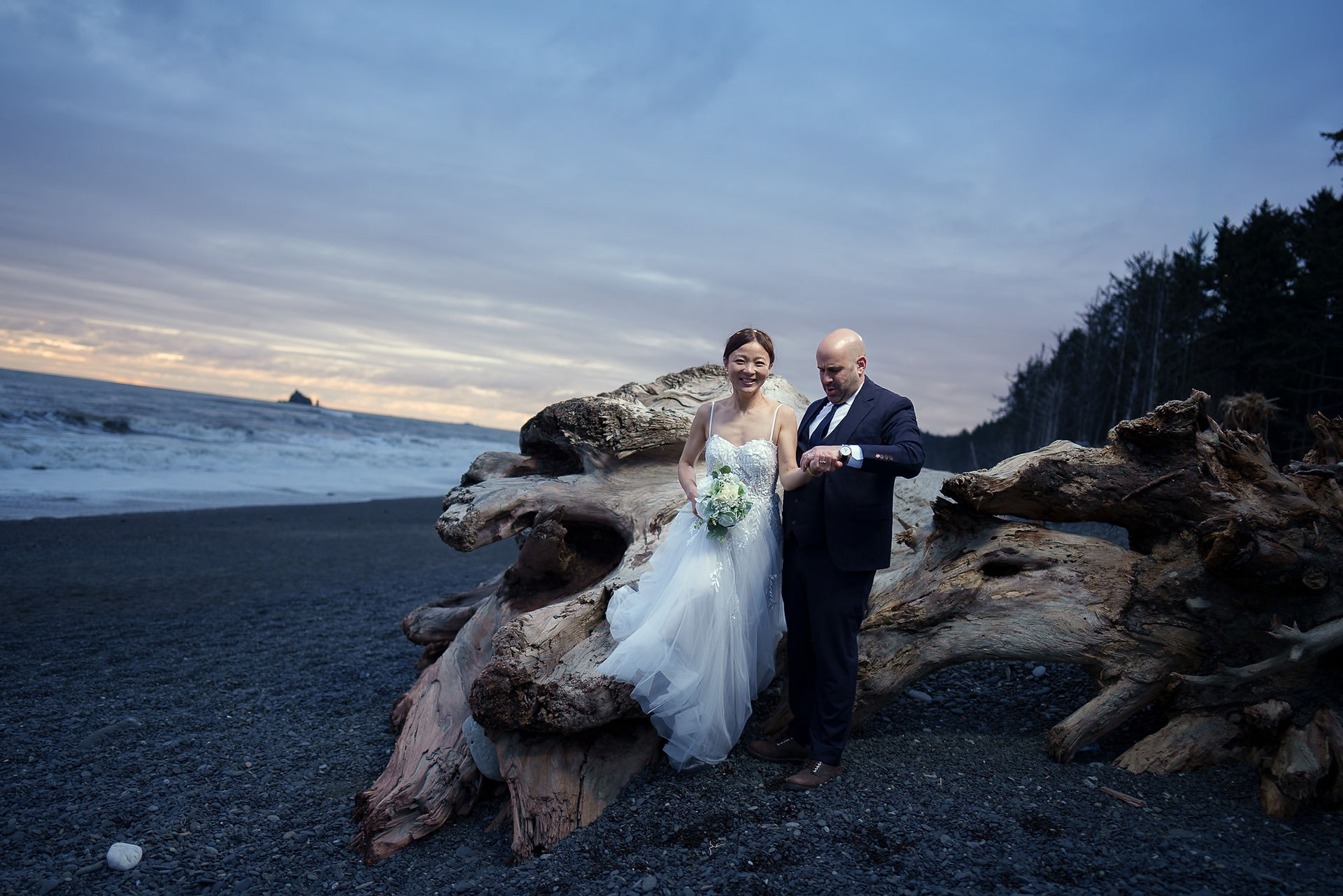 Couple on driftwood at Olympic National Park elopement