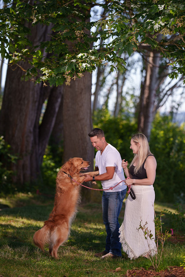 Couple playing with Golden Retriever