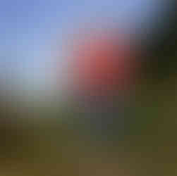 Jessica & Brian's Meadowdale Beach engagement