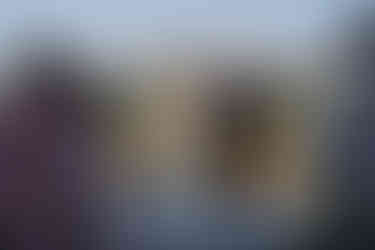 Wedding couple holding hands during intimate outdoor farm ceremony.