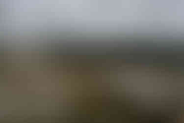 Empty white chairs in circular outdoor ceremony, rural farm wedding setting.