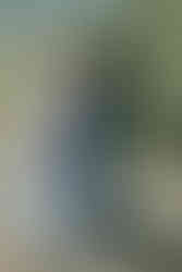 Bride and groom embrace lovingly outdoors, holding purple bouquet.