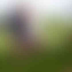 Romantic proposal at Green Lake, Seattle; Anthony's surprise