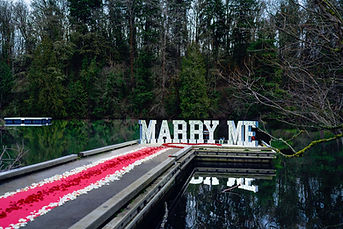 Marry Me sign with a rose petal walkway, engagement PhotoYari Photography.