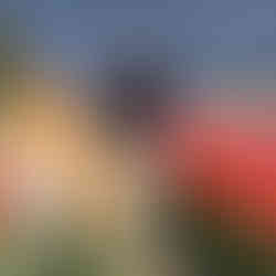 Couple's engagement photo at Skagit Tulip Festival.
