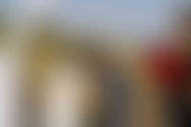 Bride and groom interact with tablet during outdoor wedding ceremony.