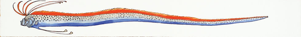 Travel-Oarfish