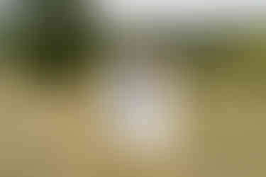 Bride in white gown and guest in blue dress, holding purple bouquet.