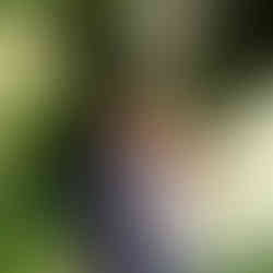 Happy couple embracing, Green Lake proposal