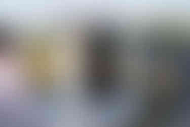 Bride and groom exchanging vows outdoors at intimate farm wedding arch, officiated.