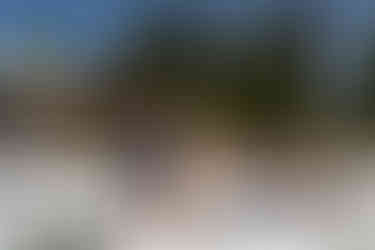 Wedding guests seated outdoors at Olympic View Wedding Estates, enjoying ceremony.