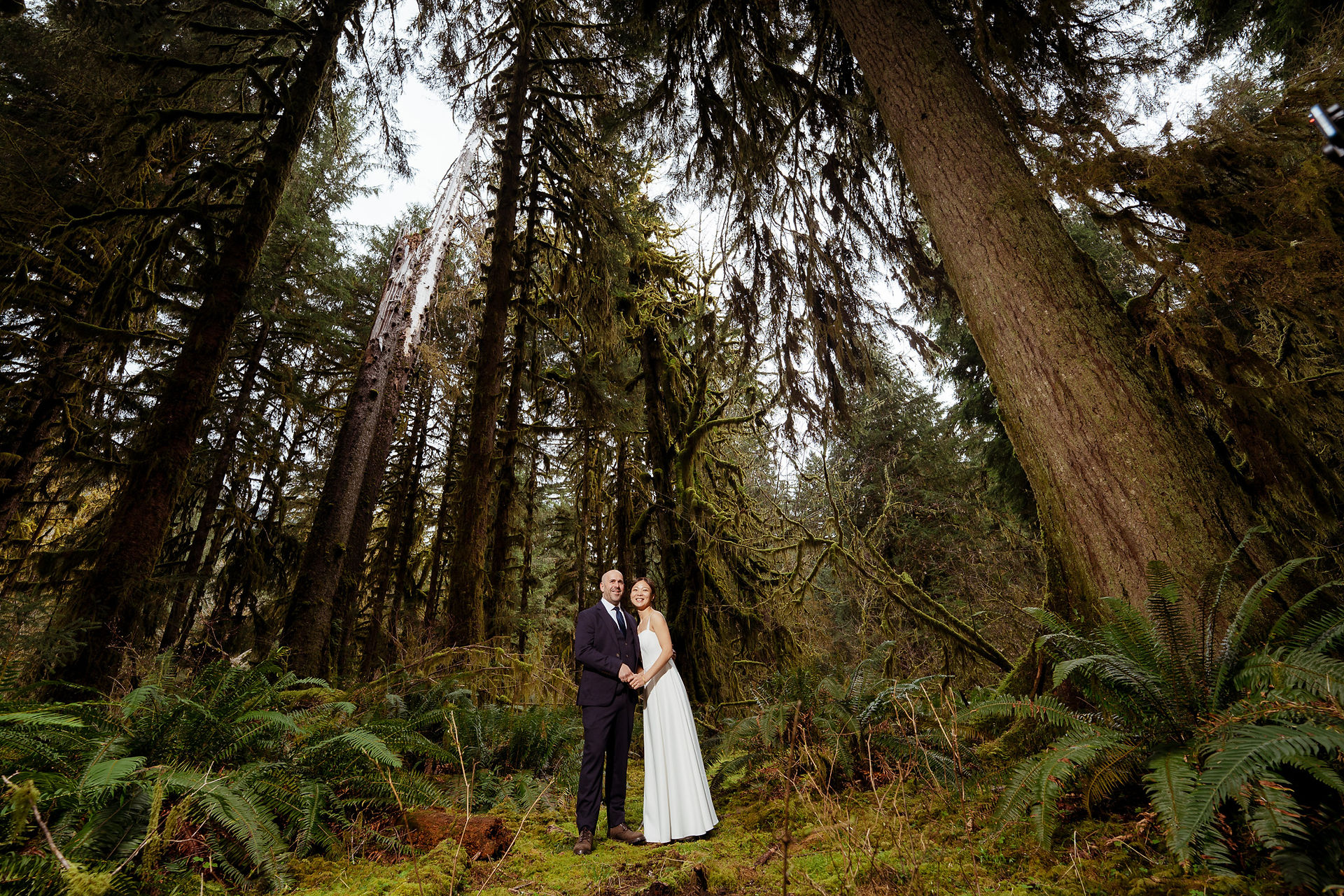 Couple in wedding attire amidst tall trees, Olympic National Park elopement