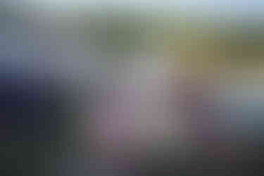 Four smiling women seated at an outdoor ceremony in a rural setting.