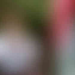 Man speaks at Shoreline flag ceremony