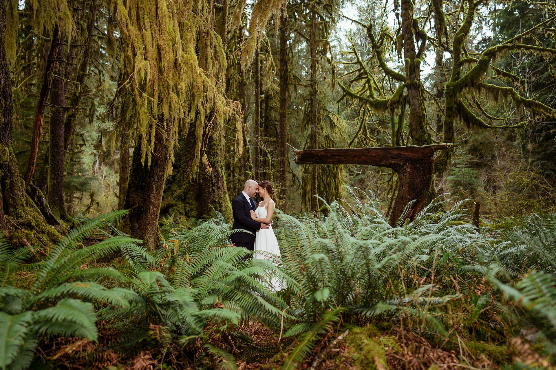 Elopement couple embracing in Olympic National Park's mossy forest.