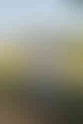 Man in light grey suit adjusting tie outdoors, smiling.