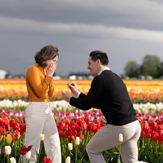 Engagement proposal at Skagit Tulip Festival.