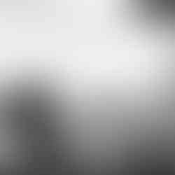 Couple embracing passionately, Green Lake proposal