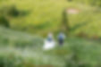 Couple hiking uphill through wildflowers, Elopement in nature