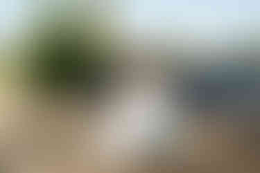 Smiling bride, bridesmaid with bouquets at an outdoor Chehalis WA wedding.