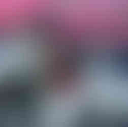 Couple's romantic boat proposal, red roses