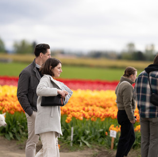 People view vibrant tulips at Skagit Tulip Festival.