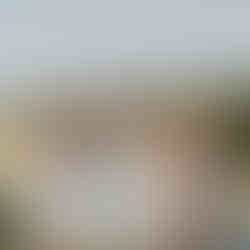 Five diverse women in pastel floral dresses holding bouquets outdoors.