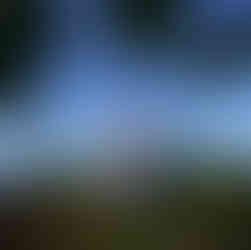 Couple embracing, ocean view