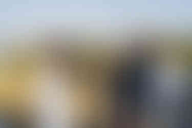 Emotional bride crying, groom, officiant at intimate outdoor farm wedding ceremony.