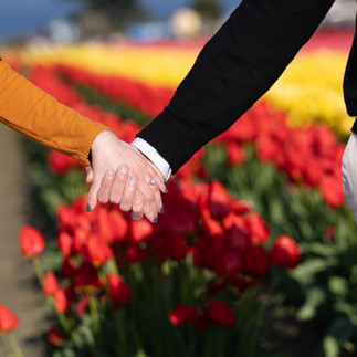Couple holding hands with engagement ring at Skagit Tulip Festival.