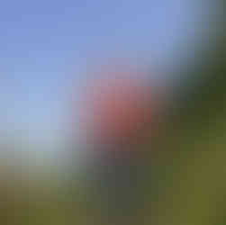 Jessica & Brian embrace at Meadowdale Beach Park