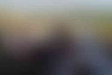 Joyful diverse couple holding hands at their outdoor farm wedding.