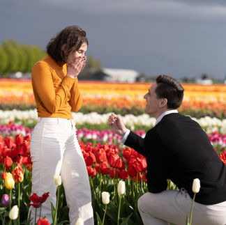 Man proposes to woman at Skagit Tulip Festival