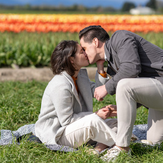 Couple kissing in a tulip field at the Skagit Tulip Festival