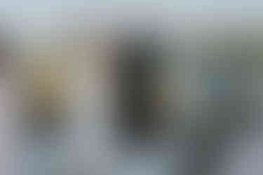 Bride and groom exchanging rings during their outdoor wedding ceremony.