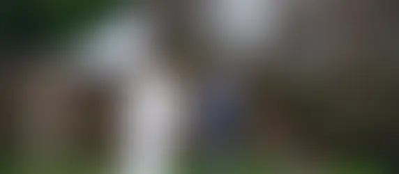 Seattle Wedding Photography Pricing Explained: Wedding Photography Costs Seattle