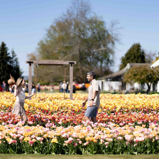 Couple enjoying a field of colorful tulips at a Tulip Festival