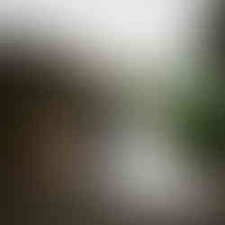 Couple kissing in front of elegant estate house at Sanders Estate in Auburn.