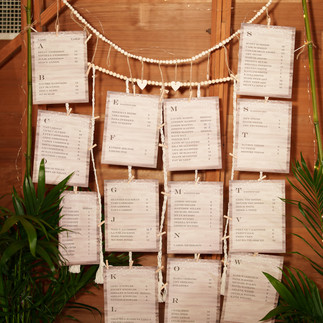 Wedding seating chart display with names on cards, macrame hanger, and plants.