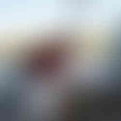 Couple embraces, red roses, Seattle boat proposal