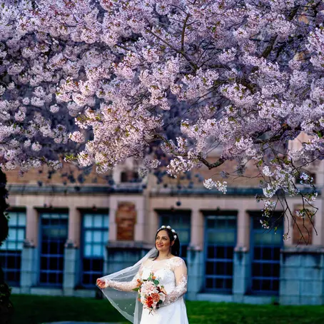 Cherry Blossom Engagement Sessions - Seattle