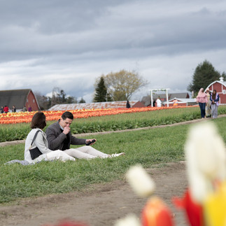 Couple sitting among tulips at Skagit Tulip Festival