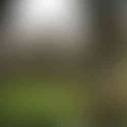 Large, gabled house with lush green landscaping, Sanders Estate in Auburn.