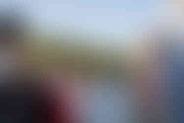 Five women outdoors, one speaking into microphone, four holding bouquets.