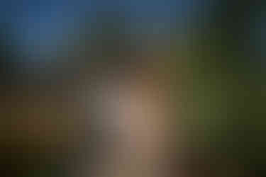 Man in vest, woman in peach gown walking arm-in-arm outdoors.