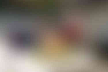 Bride and groom sit at table with flowers, man pours champagne.