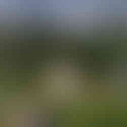 Couple holding hands, walking away mountain background